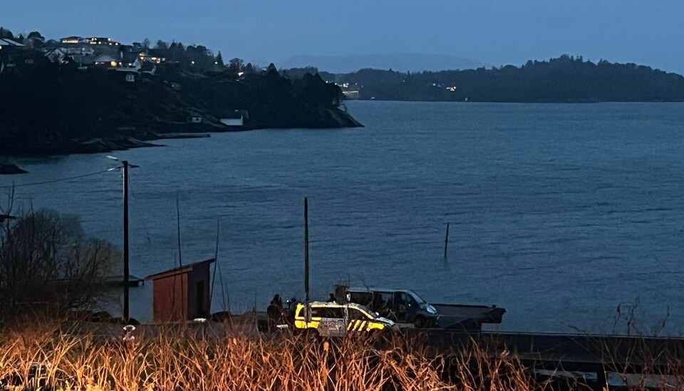 Kvinnen skal ha blitt tatt på land her ved Sørekaien på Erdal.