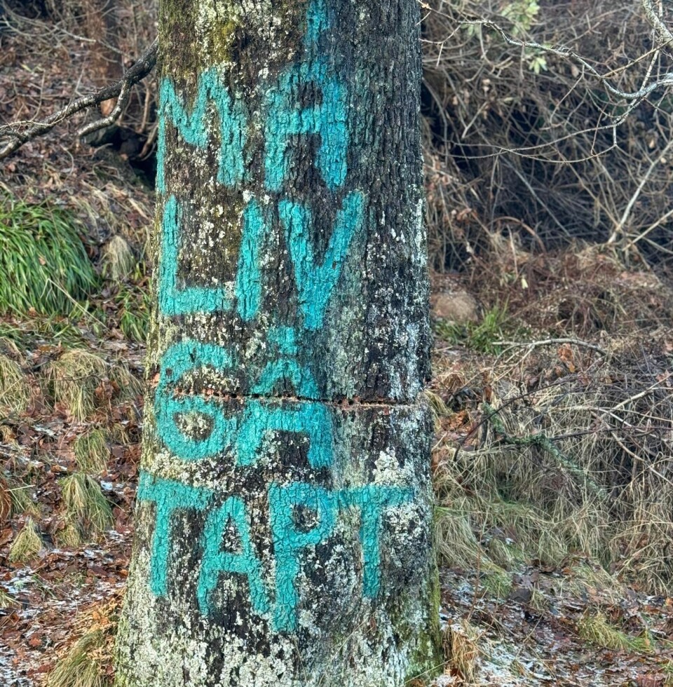 Hvem gjorde skadeverket på fredet eik?