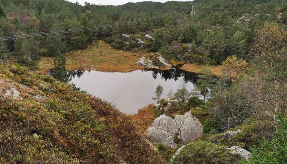 Vi har ingen forventninger til Frp når det gjelder å ta vare på natur