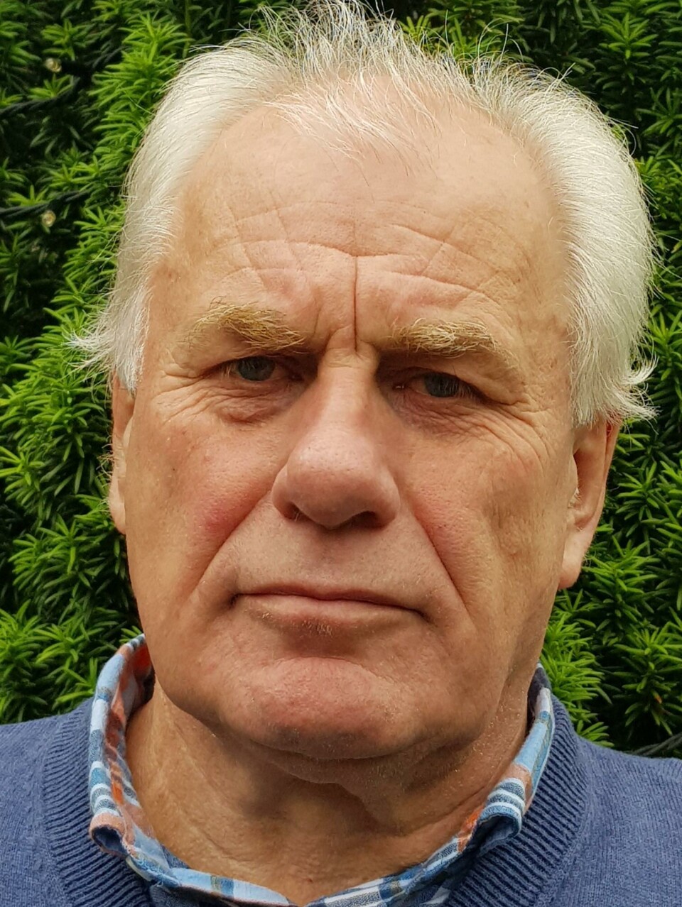 Bård Espelid