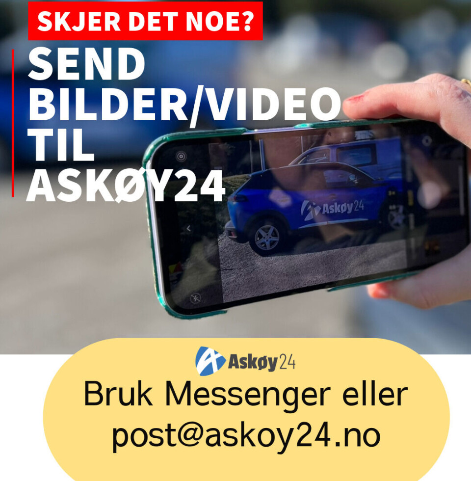 Svanegang i Florvåg