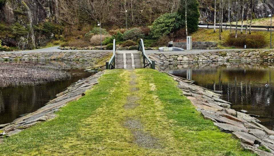REDDET: Vatnavatnet er i dag et godt besøkt område både av store og små. Det er også et rikt fugleliv der.