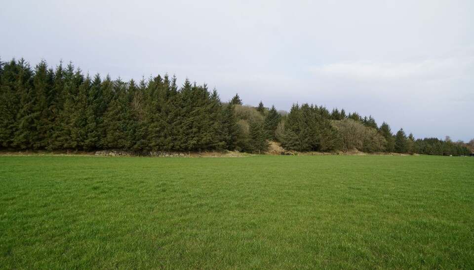 KULTURLANDSKAP: «Herdla, som er den plassen i kommunen eg har fremst i pannebrasken når eg skal anbefale folk stader dei bør dra på Askøy, er eit flott landskapsområde» skriv Janne Kjellevold Midtbø.