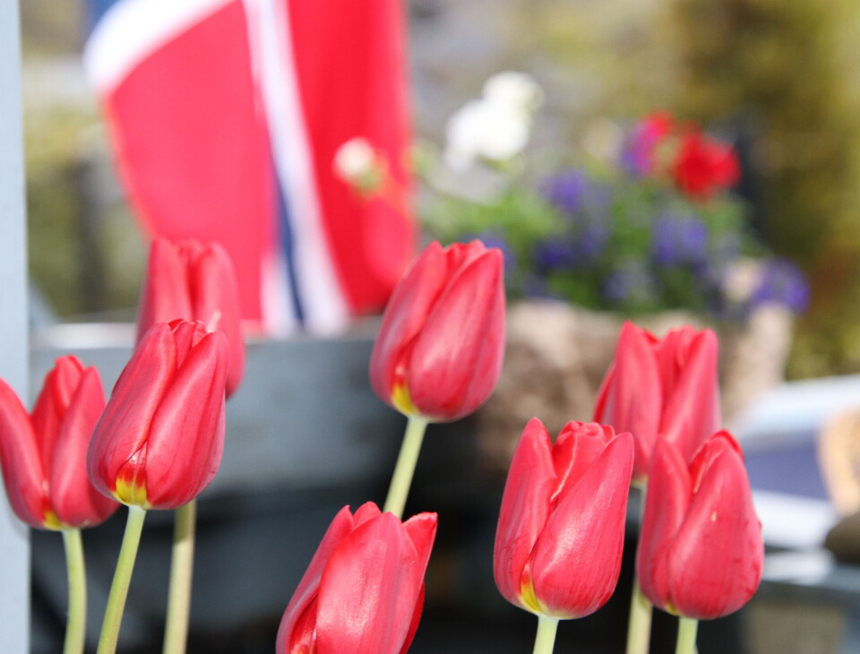 FEST: Send inn bilder til Askøy24 :) Bruk vår messenger eller epost; post@askoy24.no