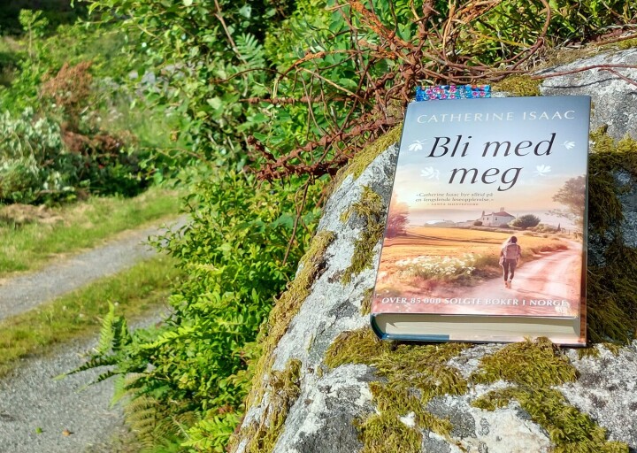 BLI MED: «Det er ganske så behagelig å sitte i en solstol, vifte med tærne og nikke til mennesker som passerer.», skriver A24s bokanmelder.