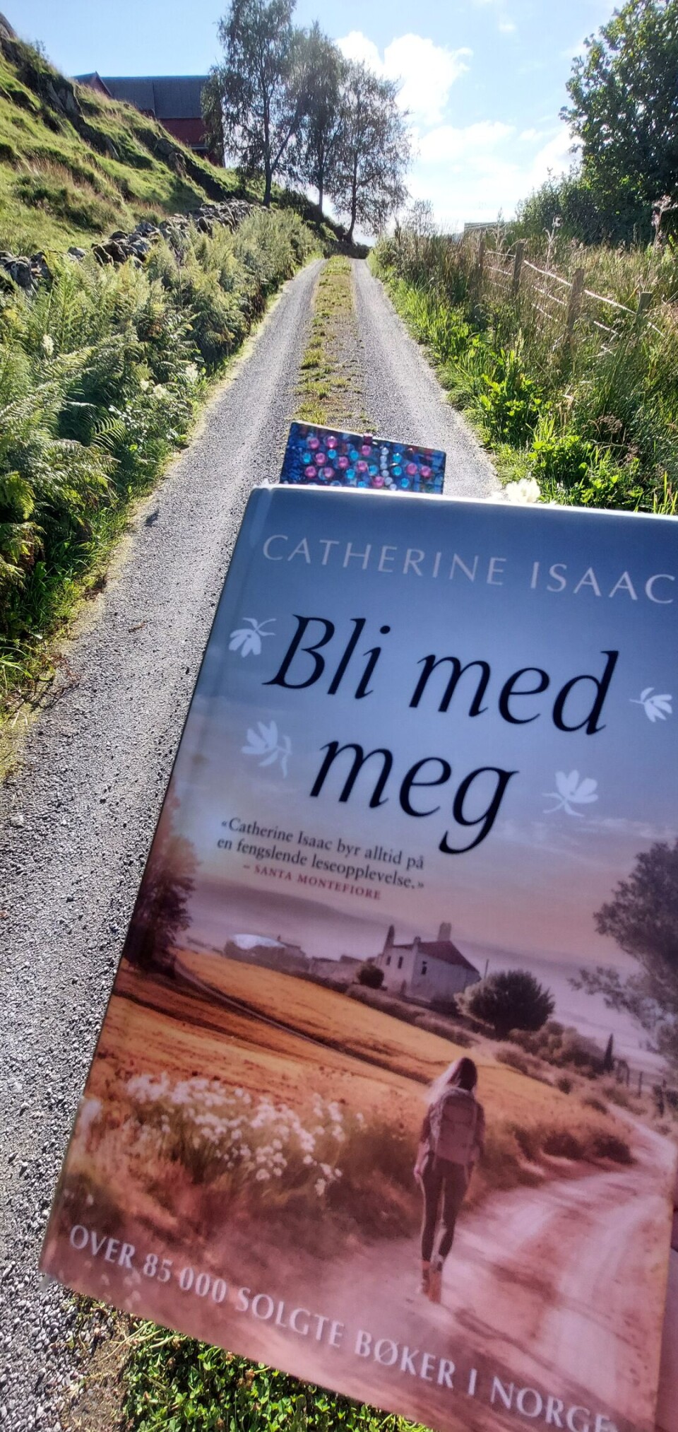 SPRÅKKUNST: «Flere ganger kunne jeg sukke tilfreds av vakre setninger.». skriver Marianne Hansen i dette boktipset.