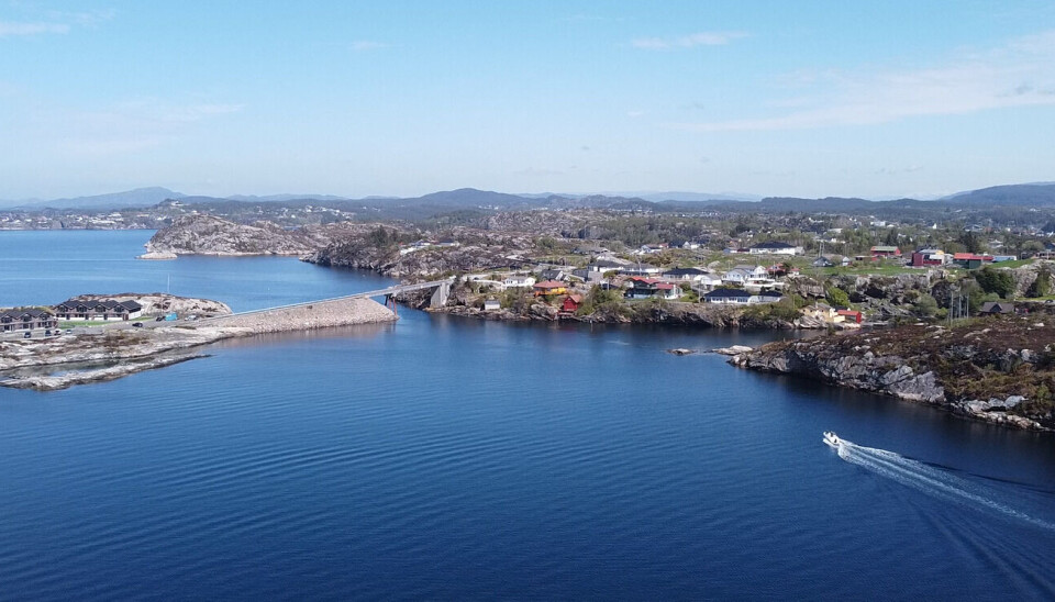 Lauvøy (tv.) og Hanøy-området er blant stedene som kan få misfarget vann i natt.