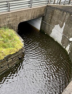 Gjentagende problem på Juvikflaten