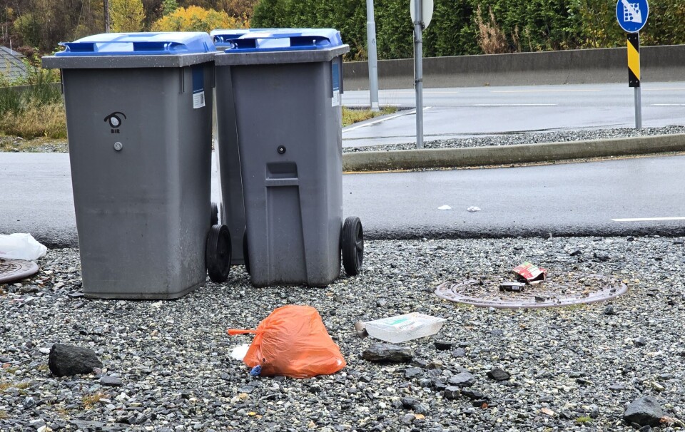 ETTERLYSER EGNE PLASTSPANN: «BIR tar med seg plastsekkene. Resten av plasten blir liggende. Hvem har ansvaret her?» spør innsenderen.