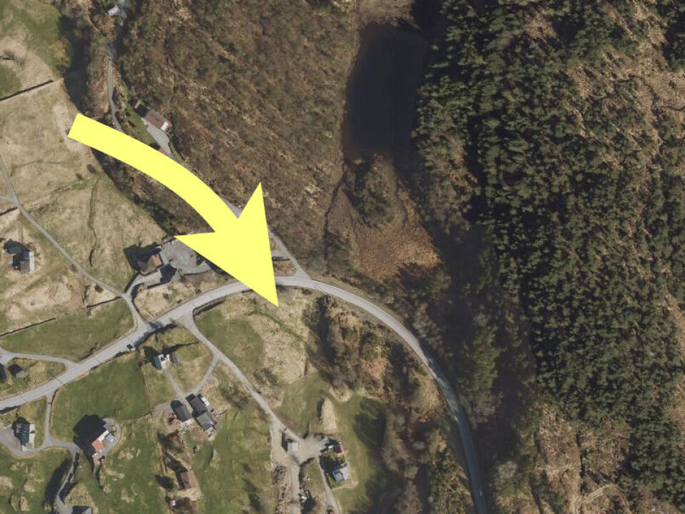 GRØNT: Normalt er det grønt og frodig, men nå er det våtere enn våtest.