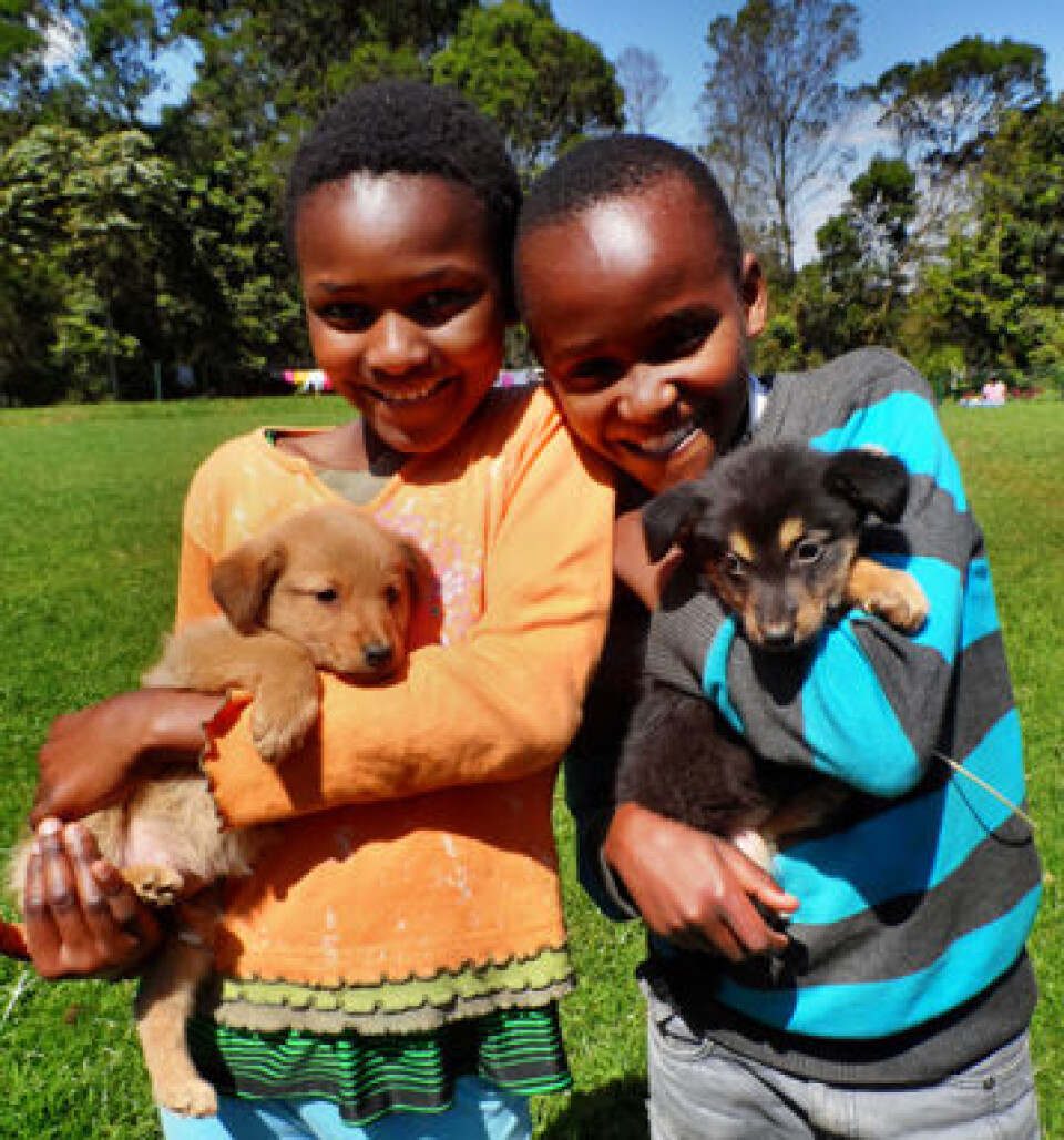 Klare for tidenes Maisha Mema-fest