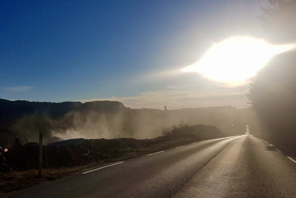 NEI TIL NÆRINGSPARK I ÅSEBØSKOGEN: «Vi forstår at asfalt også er nødvendig, men utbygging bør skje på allerede nedbygd areal» skriver Naturvernforbundet Askøy.