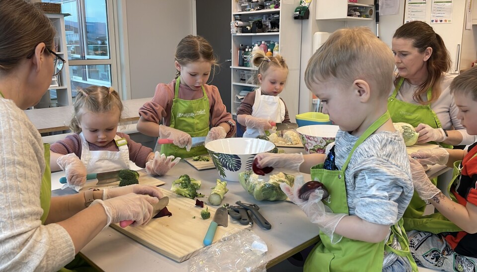 LAKS I FORM: Dagens mini-lunsjkokker er dypt konsentrert når det skal kuttes blomkål, brokkoli, løk og gulerot til felleslunsj.