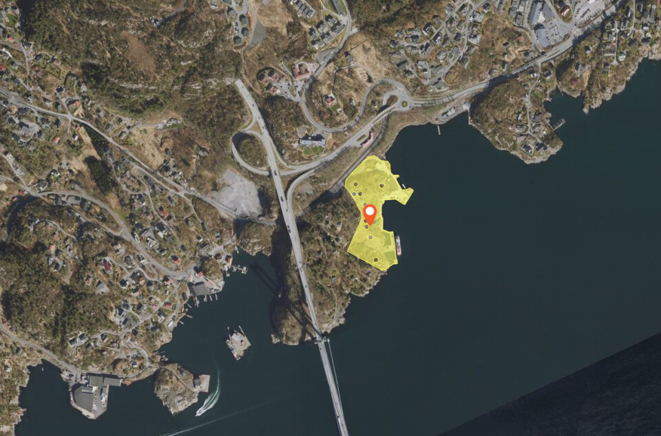 BYNESET: Skal vi ha et boligområde i Byfjorden med utsikt til Bergen, eller et havneområde med ukjente aktiviteter? spør Grethe Irene Hæggernæs.