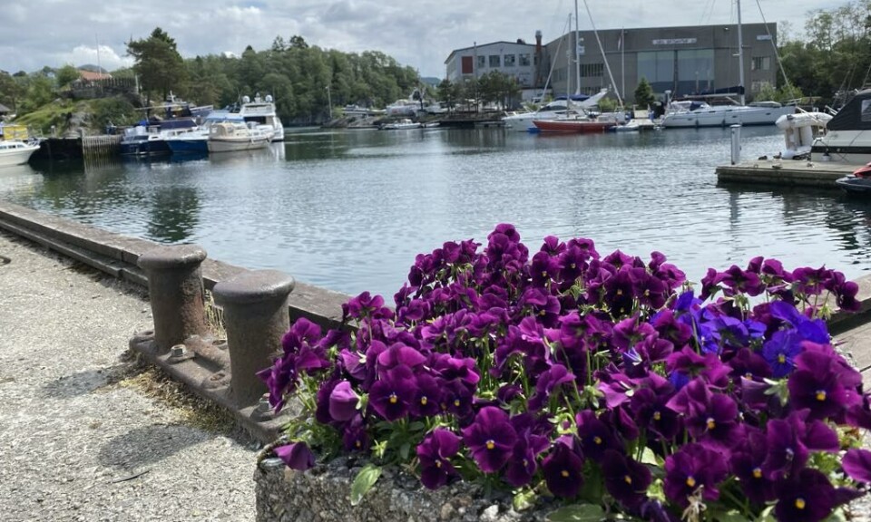 GOD KVALITET. Prøven fra 3. juni viste dårlig kvalitet, men den siste fra 24. juni viser god kvalitet i Strusshamn havn