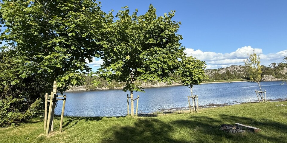 OLJESØL: Her i Kollevåg er det observert et stort, men tynt, oljeflak. Mandag ettermiddag frarådes bading her.
