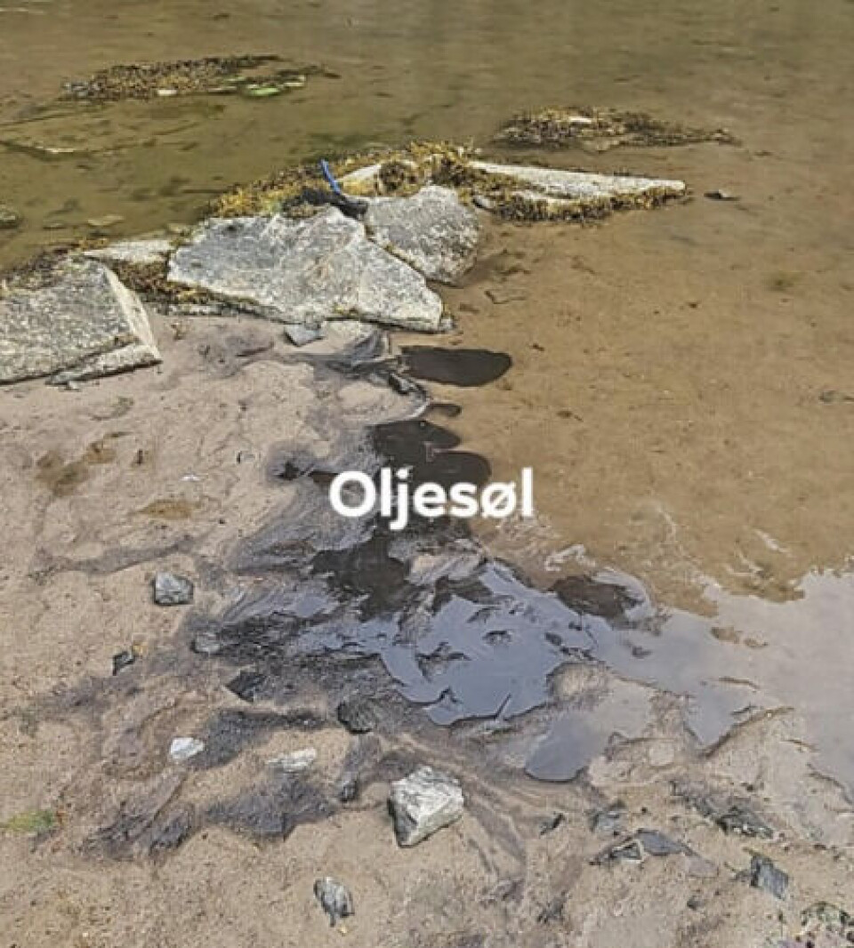Denne klumpen med tykk oljesøl er registrert helt innerst i Vestrevågen, den første badestranden man kommer til.