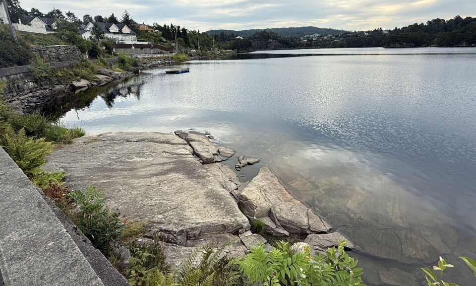 BADING FRARÅDES: Dette er en yndet badeplass for folk på Tveit. Nå er det mistanke om forekomst av blåalger i vannet.