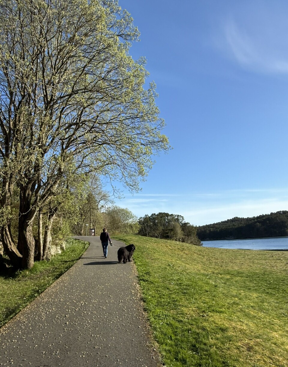 FAMILIEDAG: Her skal familiedagen finne sted.