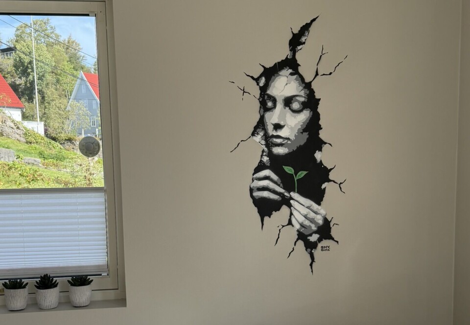 VEGG: Shygirl kan også spraye direkte på vegg hjemme hos deg.