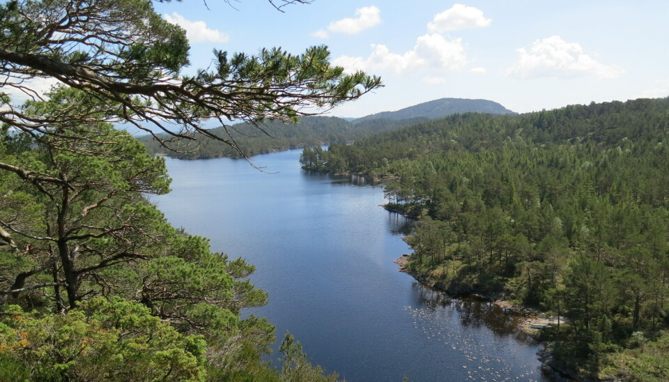 En god løype kan lages uten å bygge ned naturen